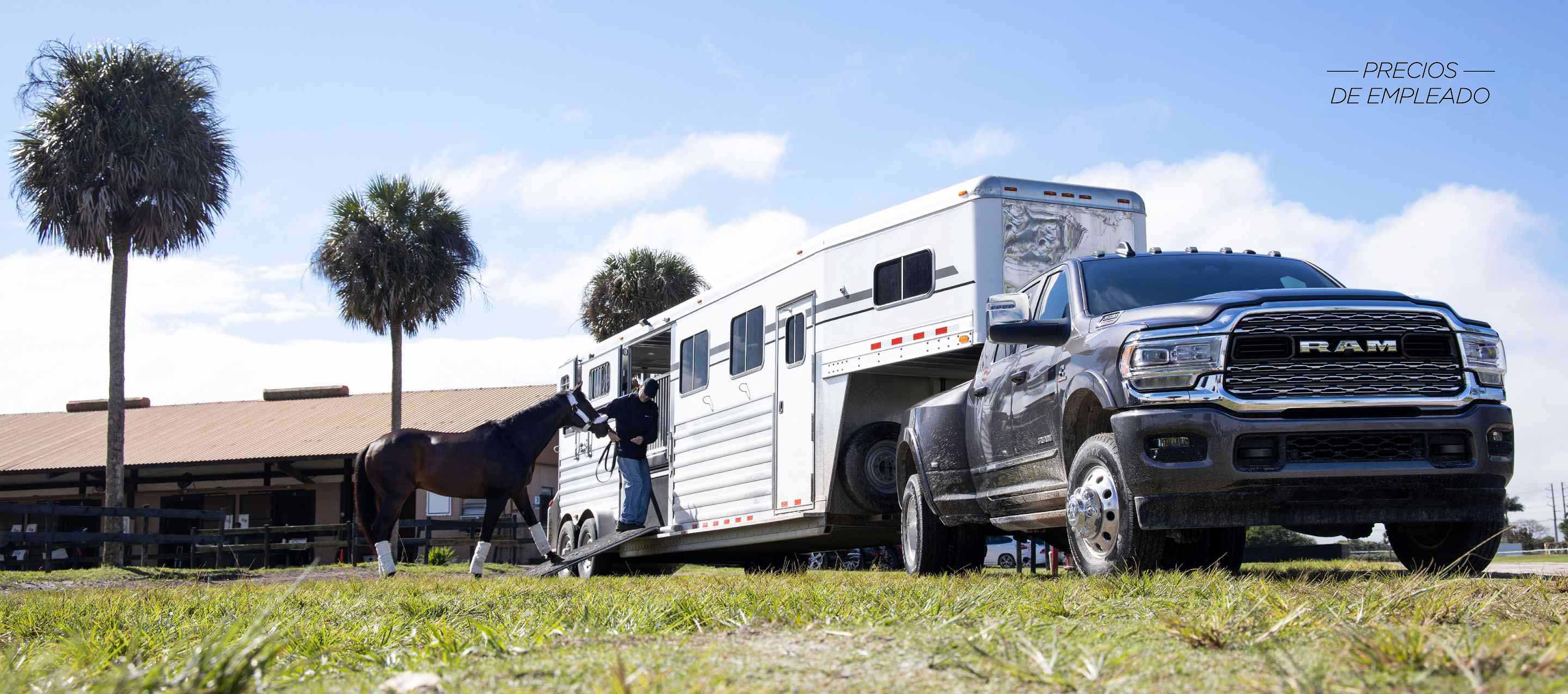Una Ram 3500 Limited Crew Cab 2024 acarreando un remolque de caballo con un hombre que dirige el caballo hacia el interior del remolque. Evento de ventas Precios de empleado.