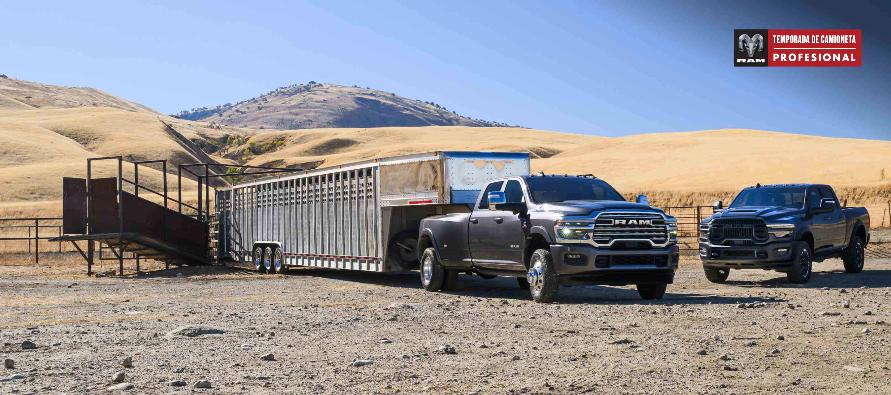Una Ram 3500 Limited Longhorn 4x4 Crew Cab 2025 acarreando un remolque de quinta rueda grande para ganado y una Ram 2500 Rebel 4x4 Crew Cab negra estacionadas cerca. Temporada de camionetas Ram Professional.